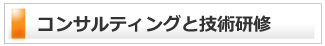 �R���T���e�B���O�ƋZ�p���C