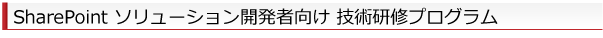 SharePointソリューション開発者向け研修プログラム SharePointソリューション開発者向け研修ブログラム